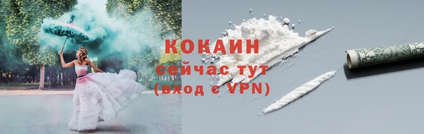 хмурый Корсаков