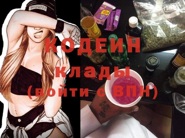 хмурый Корсаков