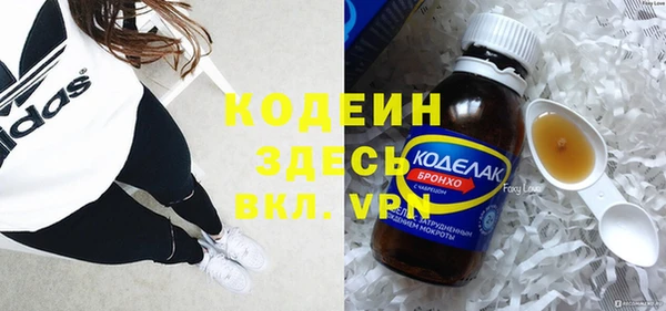 хмурый Корсаков